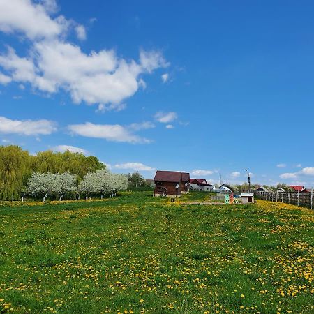 Popas Todiresti - La Iazul Cu 5 Casute Hotel Suceava Eksteriør billede